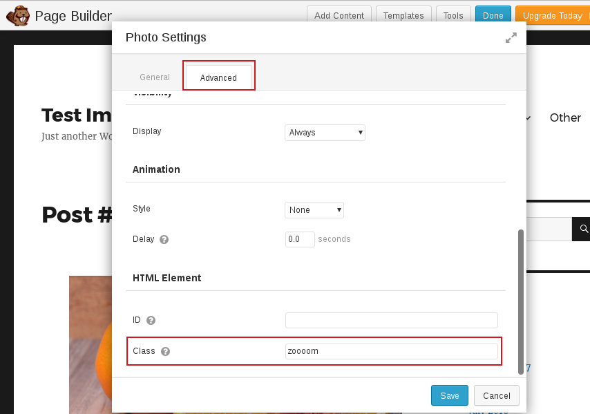Image Zoom with the Beaver Builder