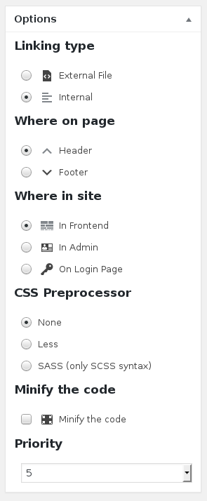 Simple Custom CSS and JS options